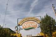 حضورتیم غربالگری بیماریهای غیرواگیر شبکه بهداشت و درمان اسلامشهر در کارخانه های سولیکو و کاله
